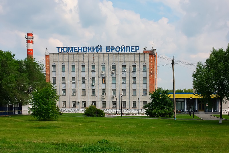 Тюменский бройлер